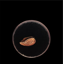 Load image into Gallery viewer, KP - Charms Slide Bracelets